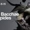 The Bacchae by Euripides, directed by Aris Biniaris | Full Performance